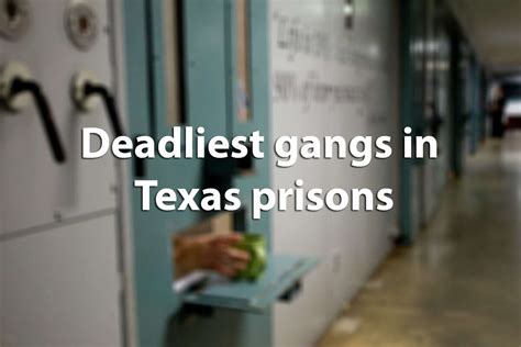 The dangerous dozen: gangs considered the greatest threat to the state ...