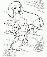 Free Printable Dog Coloring Pages For Kids sketch template