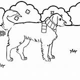 Dog Walking Coloring Page sketch template