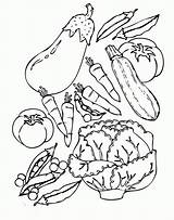 Healthy Food Coloring Pages For Kids  Home sketch template