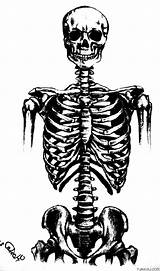 Dance Skeleton Coloring Page » Turkau sketch template