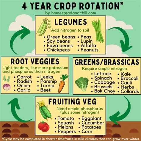 How to Practice Crop Rotation (Benefits Explained) ~ Homestead and ...