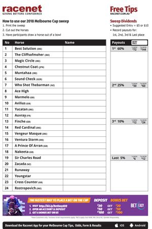 Melbourne Cup Sweep Printable