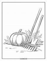 220  Pumpkin Coloring Pages For Kids & Adults Free Printable PDFs sketch template