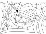 Cricket coloring Page  Free Printable Coloring Pages sketch template