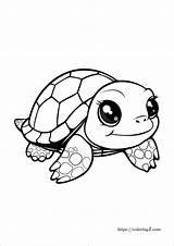 Turtle Coloring Pages  25 Free Printable Coloring Sheets 2024 sketch template