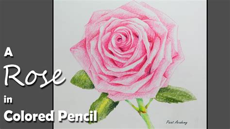 Rose Flower Drawing With Colour Pencil - canvas-brah