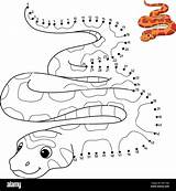 Dot To Corn Snake Isolated Coloring Page Stock Vector Image & Art  sketch template