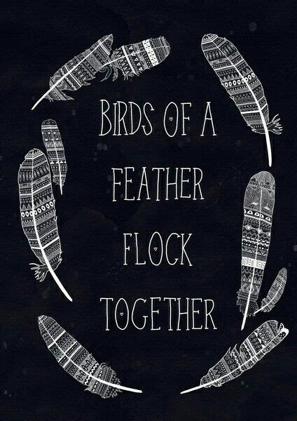 Birds of a feather flock together | Bird feathers, Together quotes, Feather art