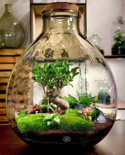 31 Stunning Terrarium Ideas for a Home Garden Under Glass