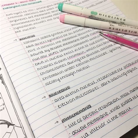 maysstudies: “ 03.05.2016. been so swamped with work lately so here are some bio notes I’ve just ...