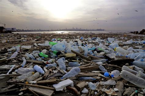 Pacifique : le continent de plastique fait trois fois la taille de la France