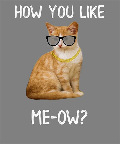 Cat How You Like Meow Funny Cat Lover Digital Art by Stacy McCafferty ...