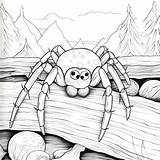 Cat Spider Coloring Pictures  Freepik sketch template