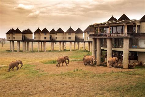 Salt Lick Safari Lodge | Rates & Prices | Safari Travel Plus