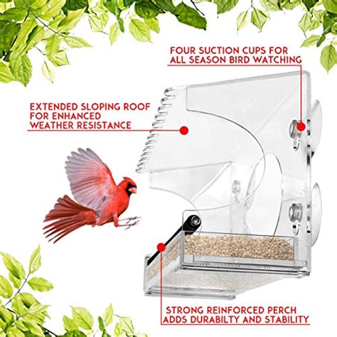 Window Bird Feeder – 2018 Model – Extended Roof – Steel Perch – Sliding ...