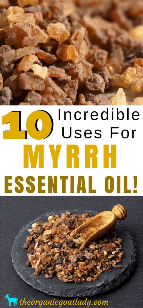 10 Incredible Uses For Myrrh Essential Oil! - The Organic Goat Lady