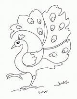 Coloring Pages Peacock  Home sketch template