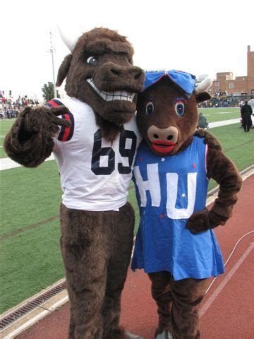 Howard University Bison Mascots | Howard university, Mascot ...