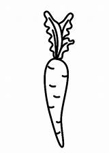 Carrot Full Of Vitamin A Coloring Pages  Best Place To Color sketch template