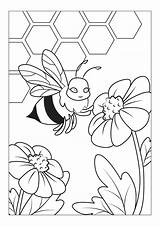 Free Online Coloring Pages With Super Cool Bugs  Best Online Gift Store sketch template