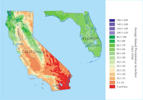 California vs Florida Oranges, What’s the Difference?