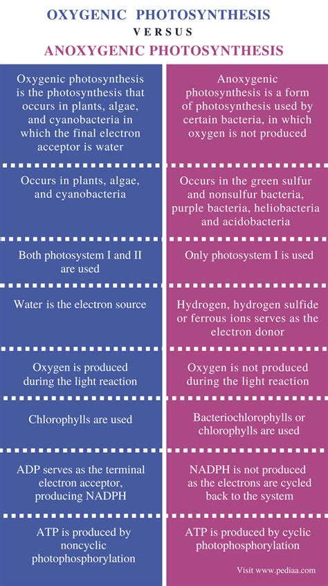 Difference Between Oxygenic and Anoxygenic Photosynthesis