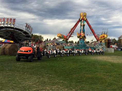 Cow Train | The Great Pumpkin Farm