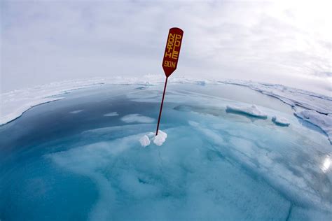 Science Photographer of the Year winners revealed - BBC News