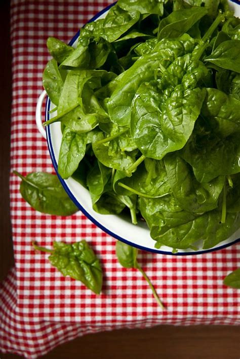 Bloomsdale Savoy and Tyee spinach from the garden | Wine recipes, Green vegetables, Food