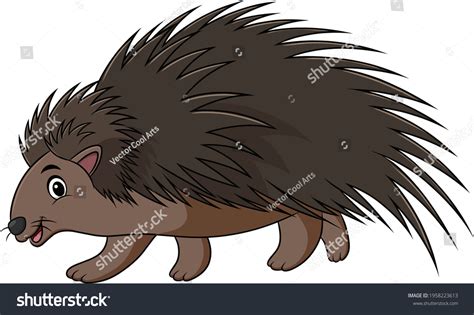 Porcupine Mascot: Over 1,259 Royalty-Free Licensable Stock Illustrations & Drawings | Shutterstock