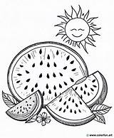 Fruit coloring Page watermelon To color Download Or Print For free sketch template