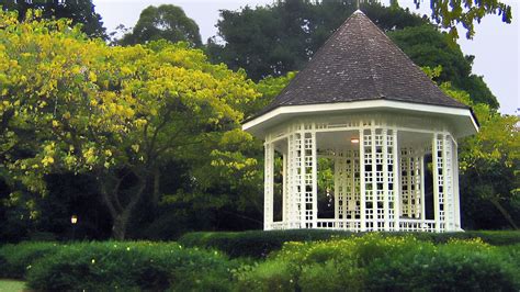 Singapore Botanic Gardens Swan Lake | Fasci Garden