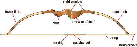 Common Bow Types: Recurve Bow