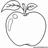 Apple Coloring Page Pdf  AllissontuCain sketch template
