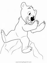 Llittle Bear Sitting On Big Stone Coloring Page For Kids  Free Brother sketch template