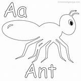 Printable Ant Coloring Pages PDF  Coloringfoldercom sketch template