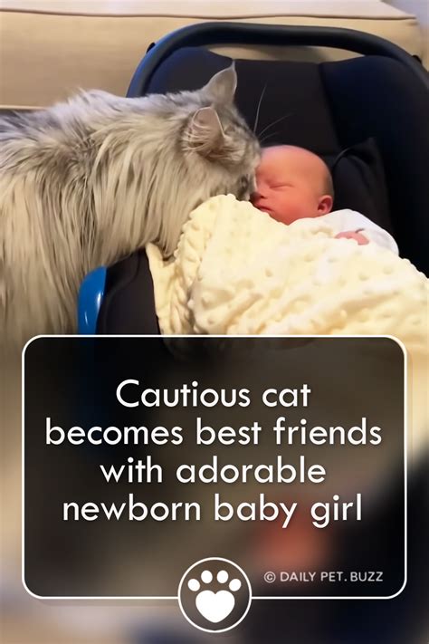 Cautious cat becomes best friends with adorable newborn baby girl – Pet ...