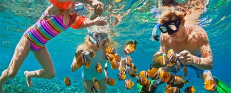 3 Places for Fort Lauderdale Snorkeling | Things to do in Florida