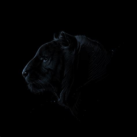 Download wallpaper 3000x3000 tiger, profile, art, dark, predator hd background