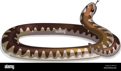 vector cartoon animal clipart: coiled viper snake Stock Vector Image & Art - Alamy