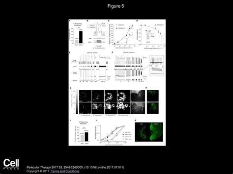 Volume 25, Issue 11, Pages (November 2017) - ppt download