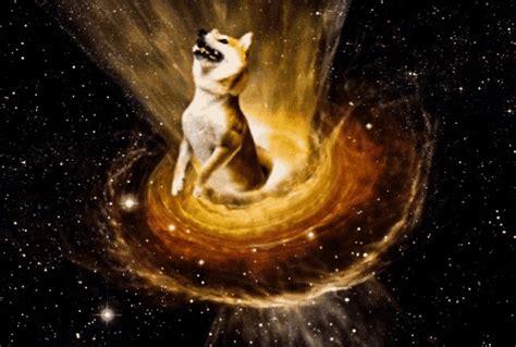 Doge Universe GIF - Doge Universe - Discover & Share GIFs