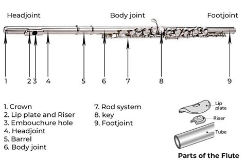 The Parts Of a Flute - Flute Anatomy - Phamox Music