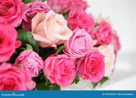 Vase with roses stock photo. Image of gentle, birthday - 53875248