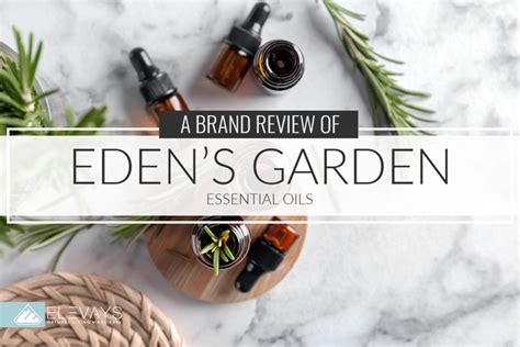 Brand Review: Eden's Garden Essential Oils - Elevays