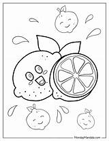 Lemon Slice Coloring Page sketch template