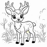 Deer Coloring Pictures  Free Printable Coloring Pages sketch template