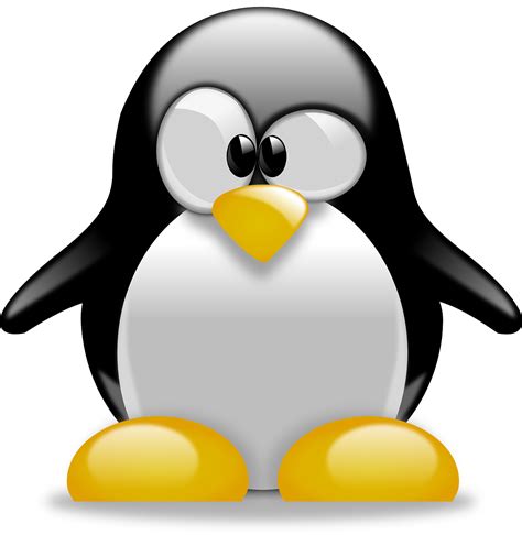 Download Tux, Penguin, Animal. Royalty-Free Vector Graphic - Pixabay