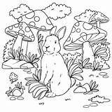 Free Vector  Coloring Book Illustration sketch template